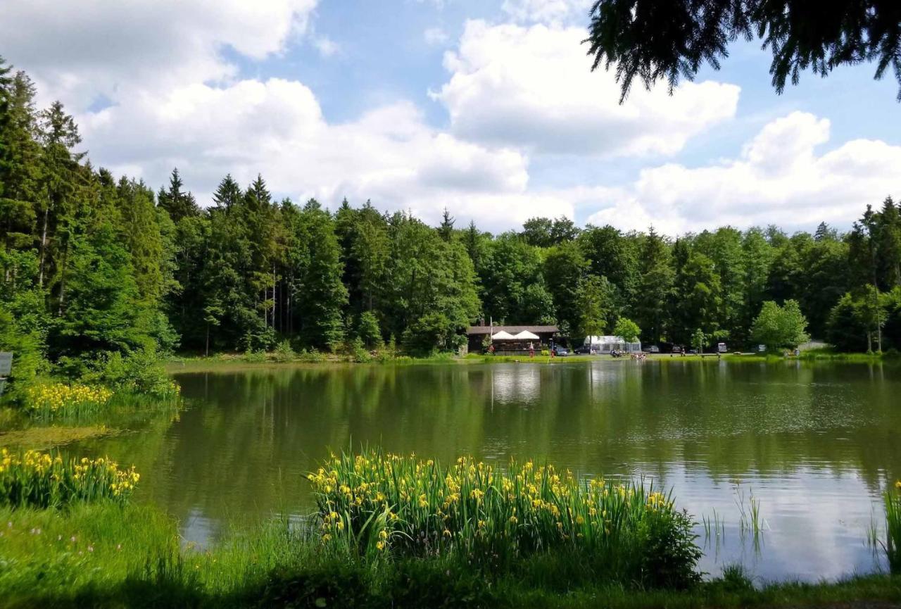 Rhoener Landhotel Haus Zur Wasserkuppe Ehrenberg  Exterior photo